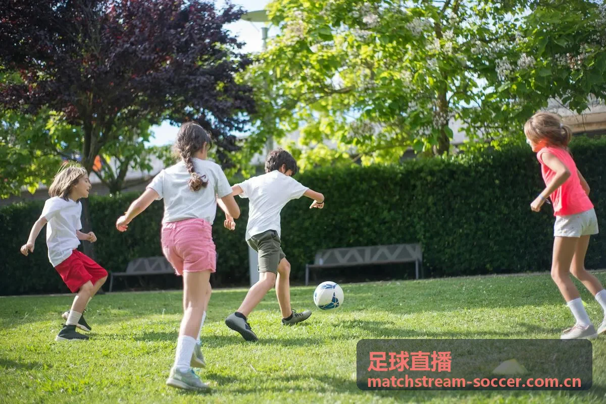 足球直播欧冠比赛现场画面
